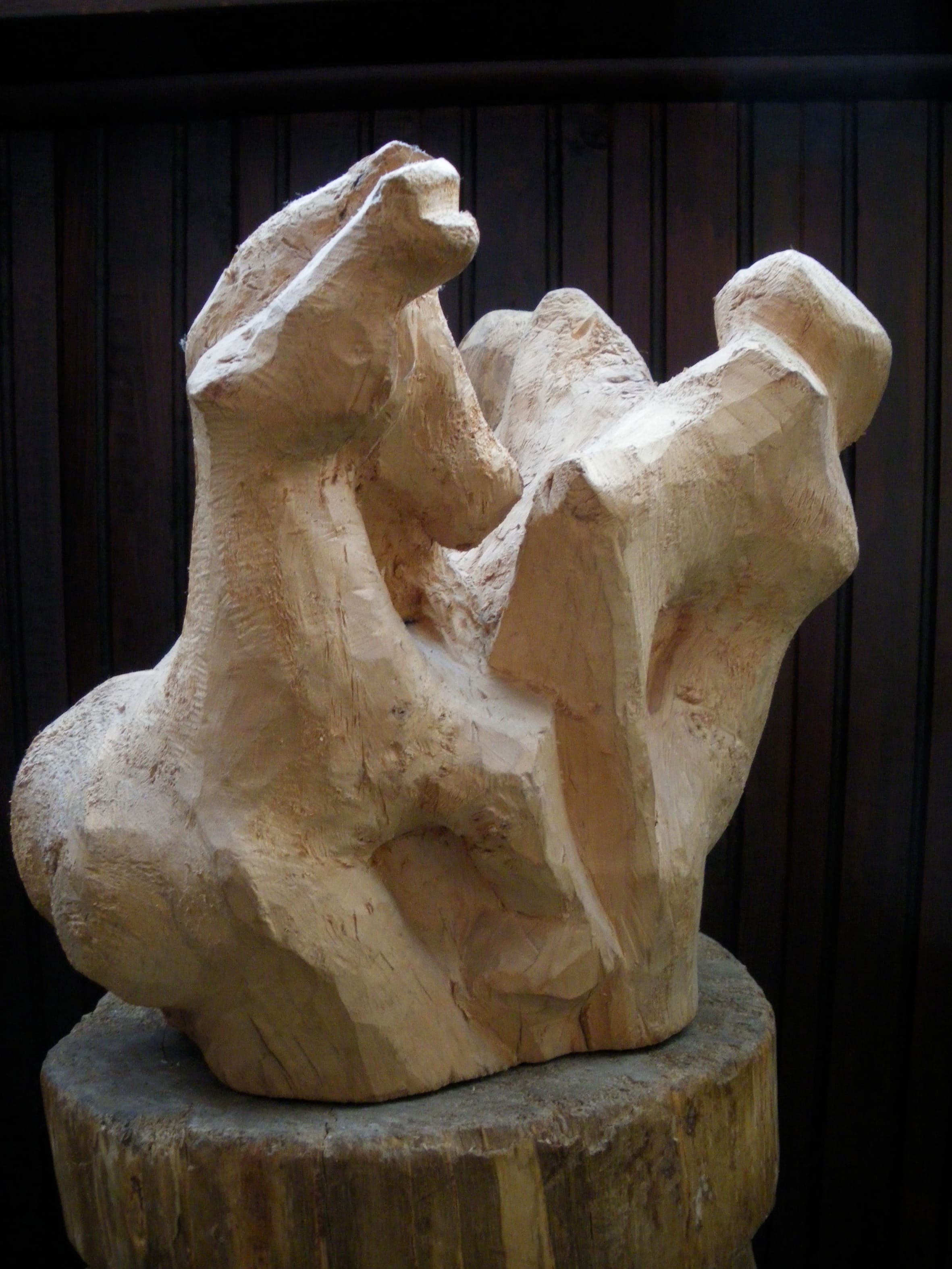 Pferdebändiger, Wurzelholz