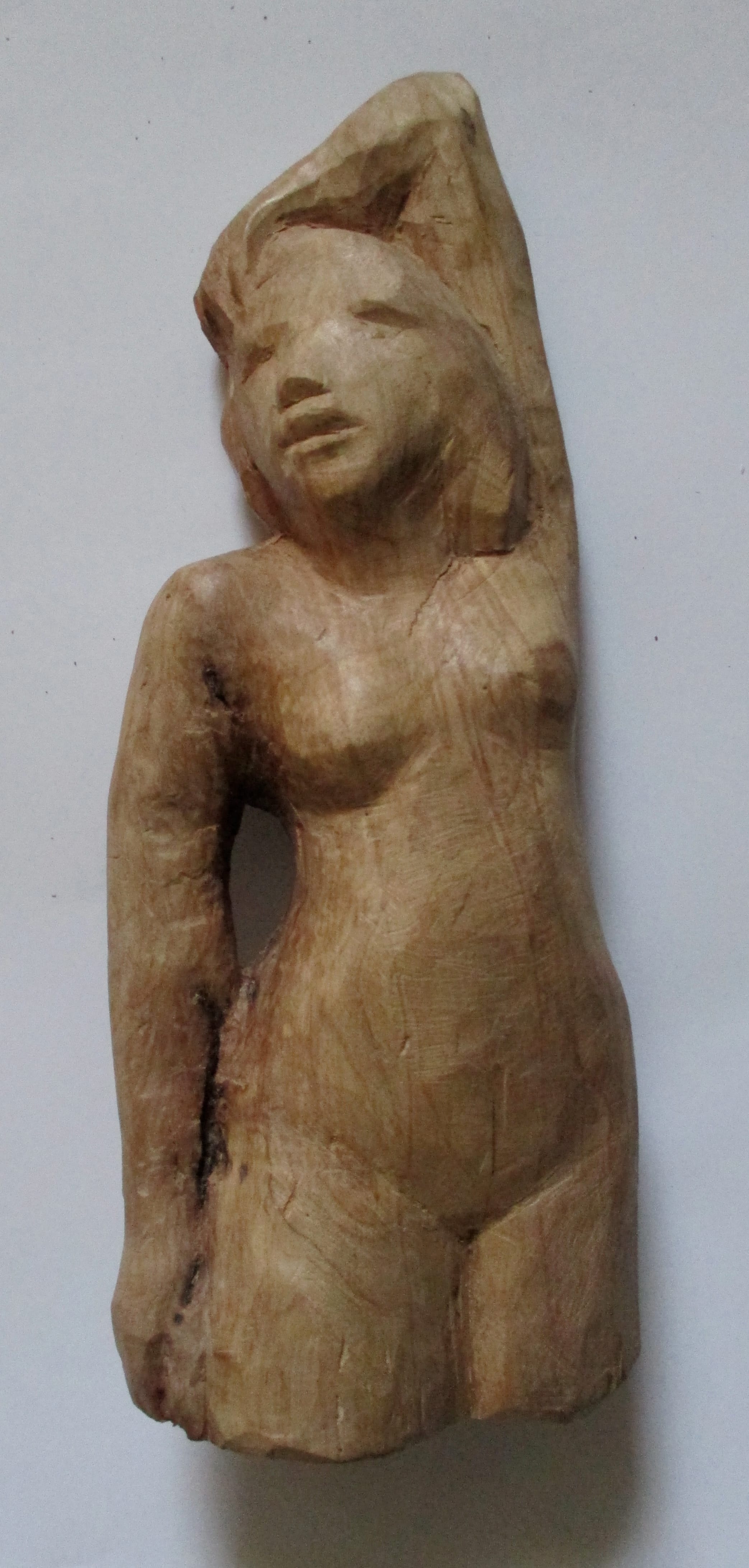 Weiblicher Torso, Birnbaum