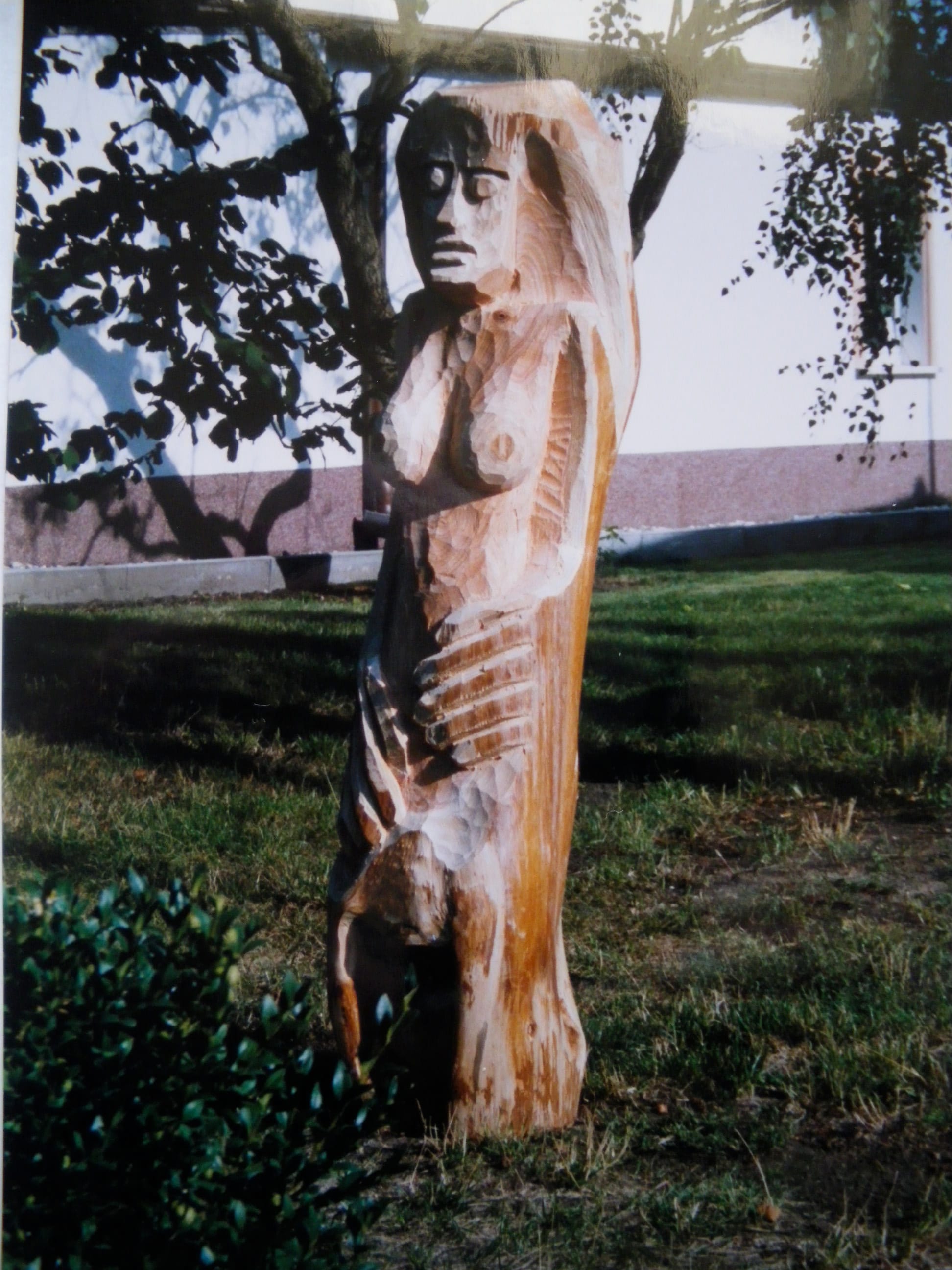 Große Mutter, Nadelbaum