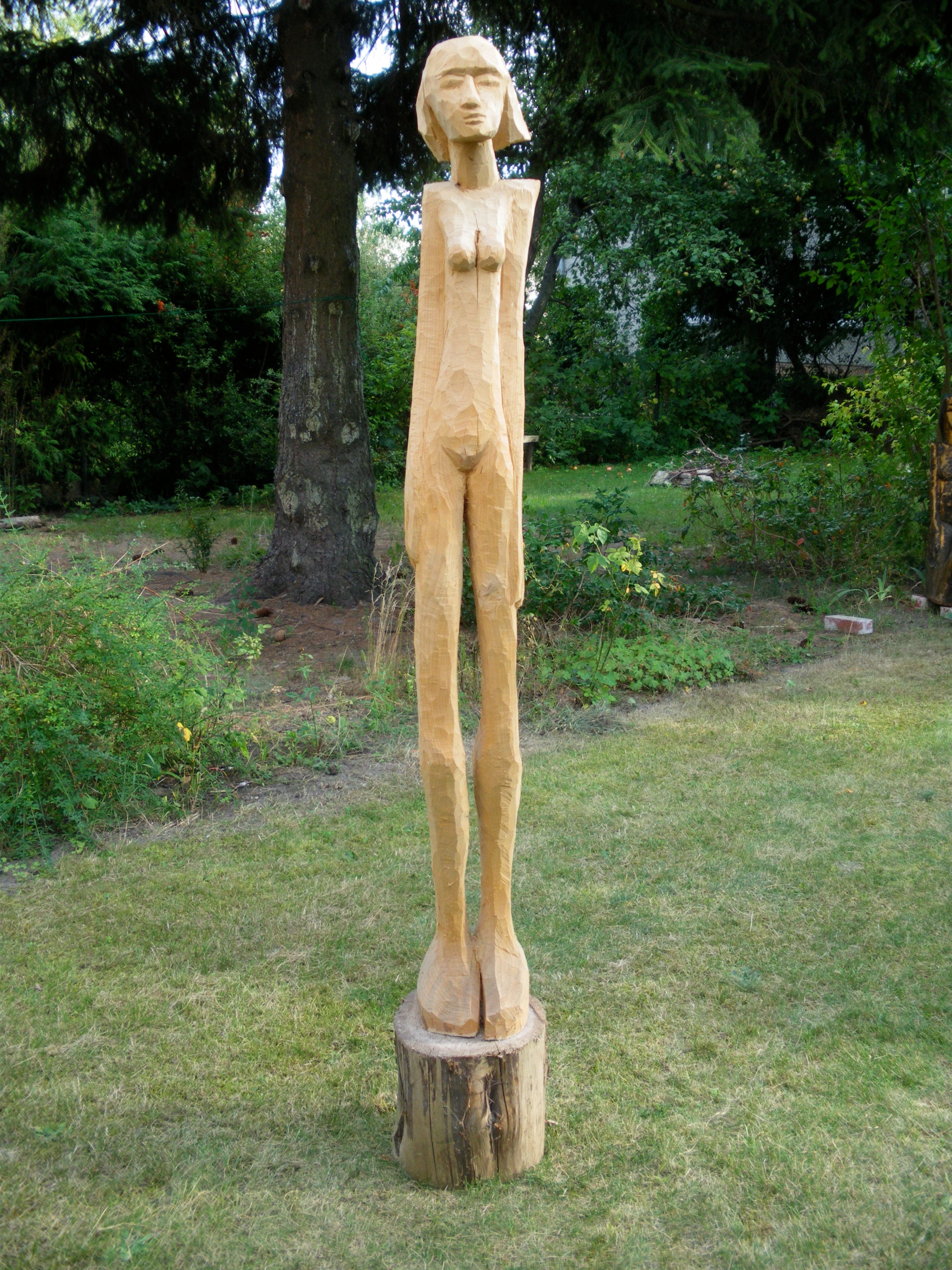 Groß und schlank, Laubbaum