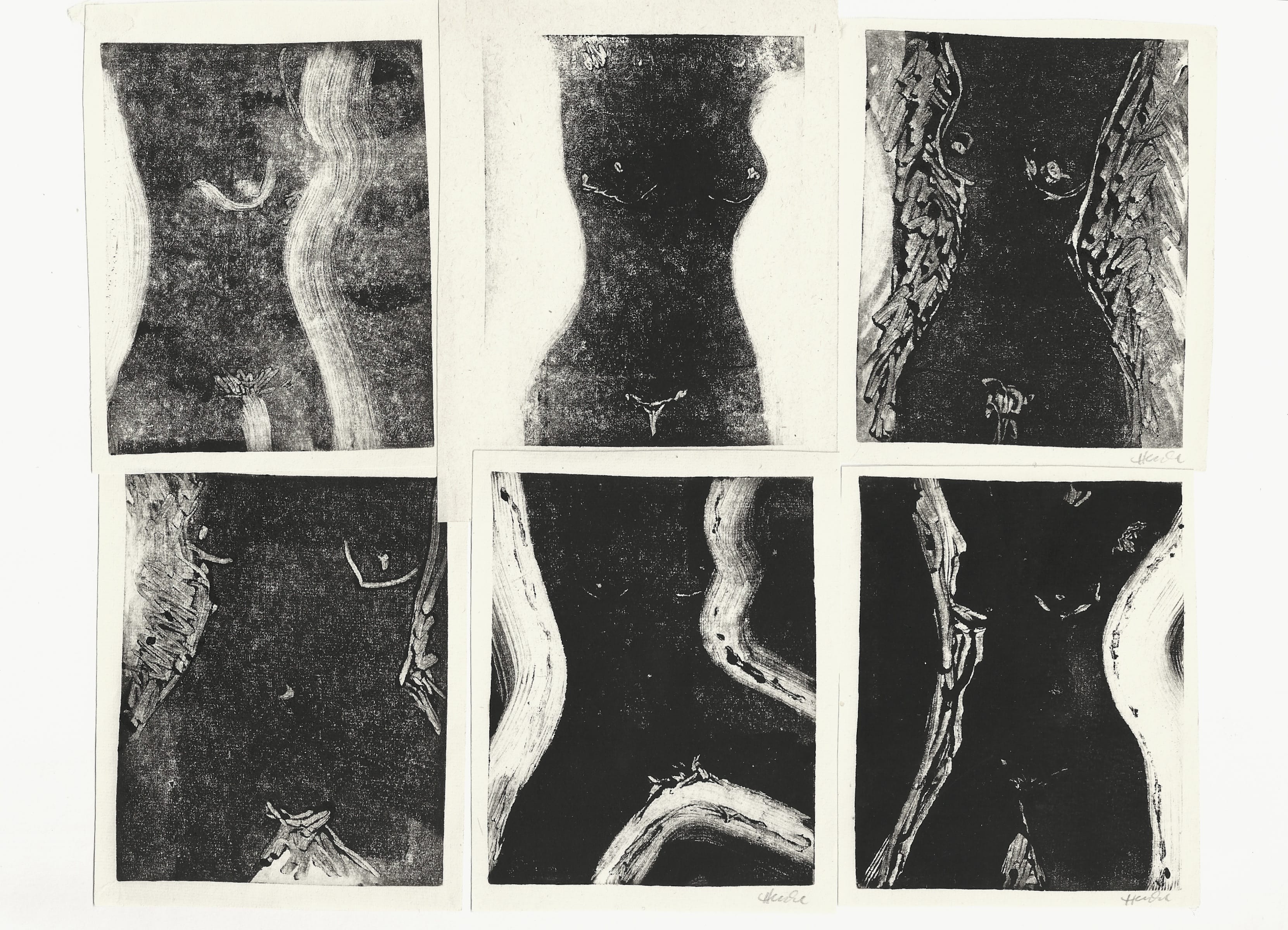 Akttorsi, Linoldrucke